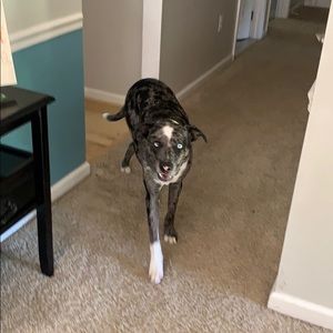 Meet your Posher, Jarrett